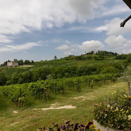 Casa Tesini In Collina Con Due Corbanese